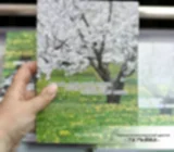Книга в обложке