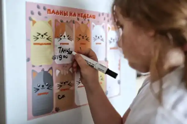 Магнитные планеры